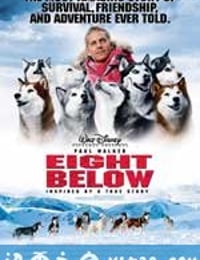 南极大冒险 Eight Below (2006)