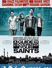 圣徒指南 A Guide to Recognizing Your Saints (2006)