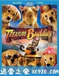 护宝巴迪 Treasure Buddies (2012)