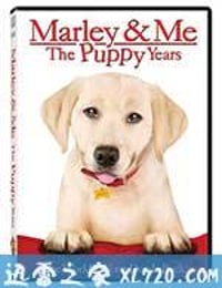 马利与我2 Marley & Me: The Puppy Years (2011)