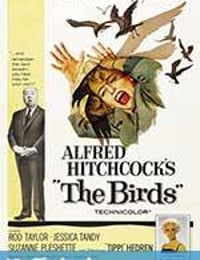 群鸟 The Birds (1963)