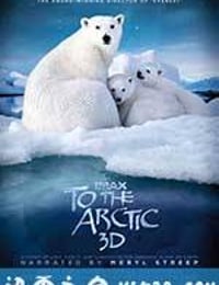 北极 To the Arctic 3D (2012)