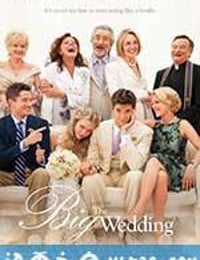 盛大婚礼 The Big Wedding (2013)