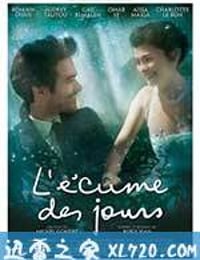 泡沫人生 L'écume des jours (2013)