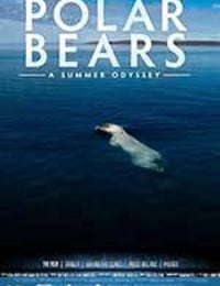 北极熊：一个夏天的奥德赛 Polar Bears: A Summer Odyssey (2012)