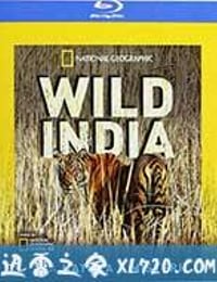 国家地理：狂野印度 Secrets of Wild India (2012)