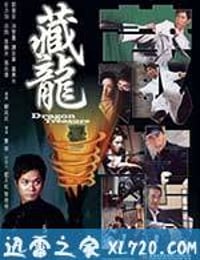 藏龙 (2007)