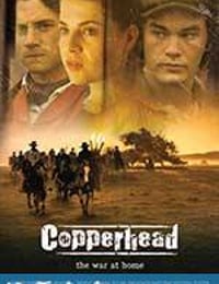 南北之殇 Copperhead (2013)