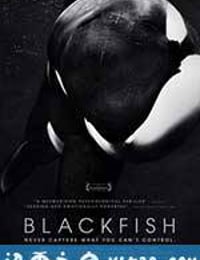 黑鲸 Blackfish (2013)