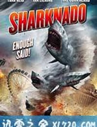 鲨卷风 Sharknado (2013)