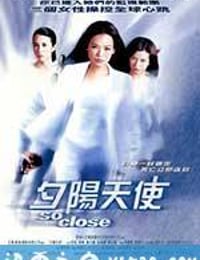 夕阳天使 (2002)