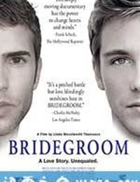 再见，我的新郎 Bridegroom (2013)