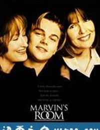 马文的房间 Marvin's Room (1996)