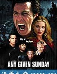 挑战星期天 Any Given Sunday (1999)