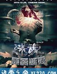 迷魂之密室逃脱 (2013)