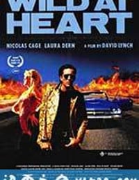 我心狂野 Wild at Heart (1990)