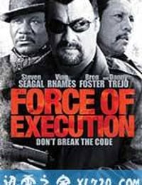 暴力执法 Force of Execution (2013)