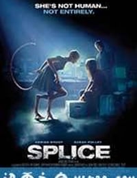 人兽杂交 Splice (2010)