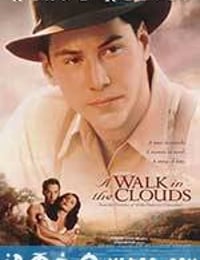 云中漫步 A Walk in the Clouds (1995)