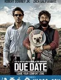 预产期 Due Date (2010)