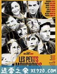 小小的白色谎言 Les petits mouchoirs (2010)