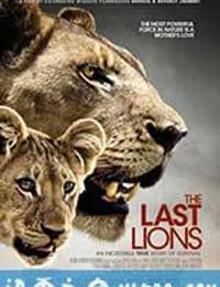 最后的狮子 The Last Lions (2011)