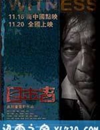 目击者 (2012)