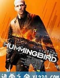 蜂鸟特攻 Hummingbird (2013)