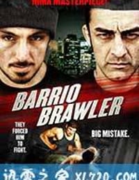 美国式搏击 American Brawler (2013)