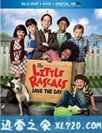 小捣蛋闹翻天 The Little Rascals (2014)