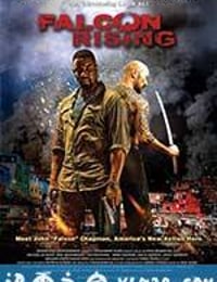 猎鹰突起 Falcon Rising (2014)