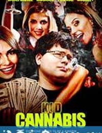 吸大麻的孩子 Kid Cannabis (2014)