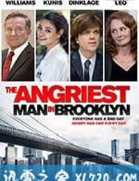 布鲁克林最愤怒的人 The Angriest Man in Brooklyn (2014)