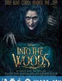 魔法黑森林 Into the Woods (2014)