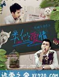 类似爱情 (2014)