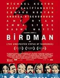 鸟人 Birdman or (The Unexpected Virtue of Ignorance) (2014)