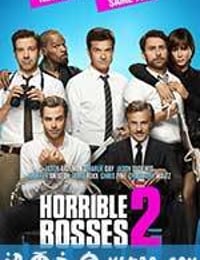 恶老板2 Horrible Bosses 2 (2014)