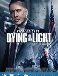 光逝 Dying of the Light (2014)