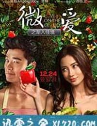 微爱之渐入佳境 (2014)