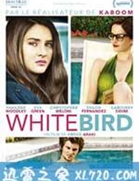 暴风雪中的白鸟 White Bird in a Blizzard (2014)