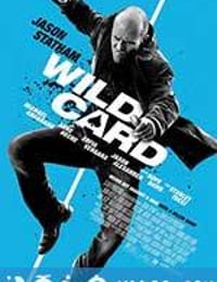 怒火保镖 Wild Card (2015)