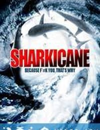 鲨卷风2 Sharknado 2: The Second One (2014)