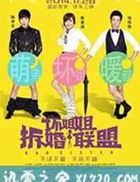 坏姐姐之拆婚联盟 (2014)