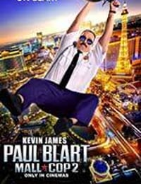 百货战警2 Paul Blart: Mall Cop 2 (2015)