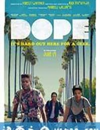 酷毙了 Dope (2015)