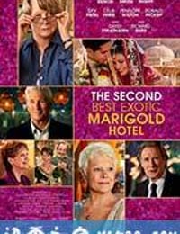 涉外大饭店2 The Second Best Exotic Marigold Hotel (2015)