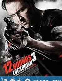 12回合3：致命禁闭 12 Rounds 3: Lockdown (2015)