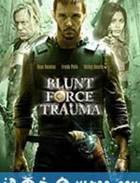 枪火游戏 Blunt Force Trauma (2015)