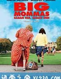 卧底肥妈3 Big Mommas: Like Father, Like Son (2011)