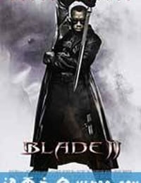 刀锋战士2 Blade II (2002)